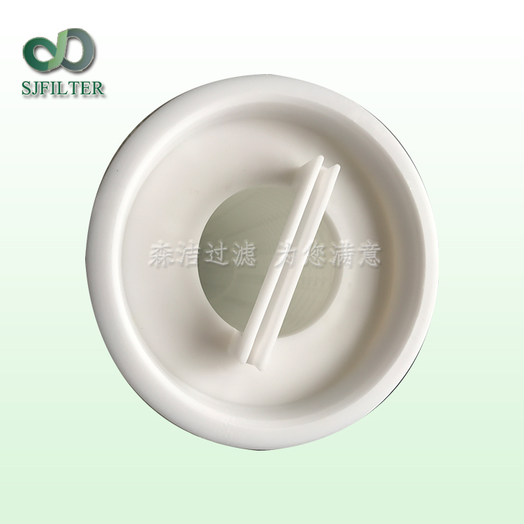 頗爾大流量濾芯